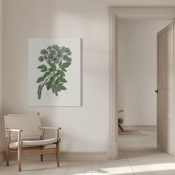 Angel Changelica Medical Botany | Canvas - Room Interior 1
