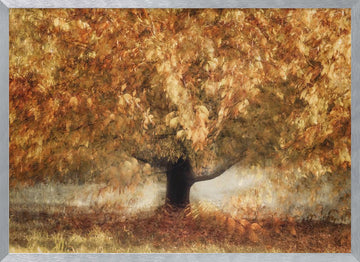 Gold colors | Poster - Silver Frame Interior