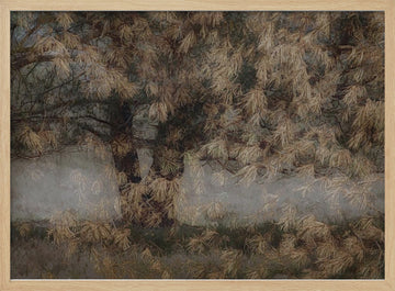 Pine tree | Poster - Wood Frame Interior