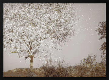 Fruit tree | Poster - Black Metal Frame Interior