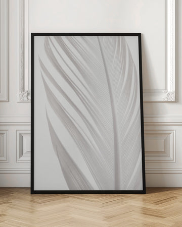Delicate White Feather | Poster - Room Interior 1