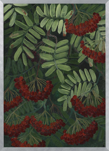 Vibrant Rowan Berries | Poster - Silver Frame Interior