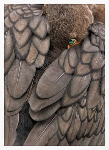 Feathered Green Eye | Poster - White Frame Interior