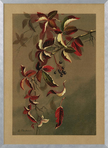 Autumn Leaves With Black Berries | Poster - Silver Frame Interior