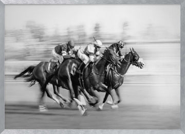 Galloping Racehorses | Poster - Silver Frame Interior