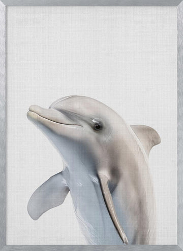 Friendly Dolphin Portrait | Poster - Silver Frame Interior
