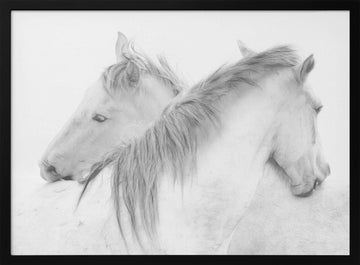 Ethereal White Horses | Poster - Black Metal Frame Interior