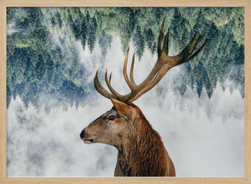 The Deer and the woods | Poster - Wood Frame Interior
