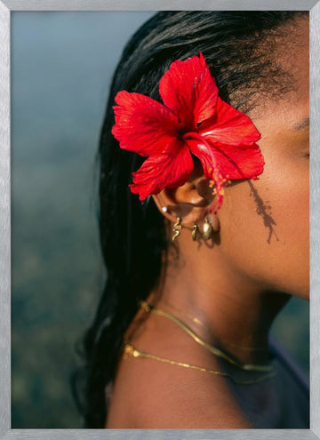 Hibiscus Serenity | Poster - Silver Frame Interior