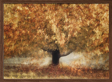 Gold colors | Poster - Walnut Frame Interior