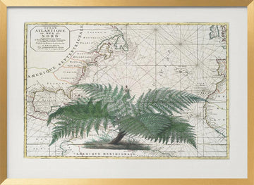 Vintage Map Fern Botanical | Poster - Gold Frame Interior