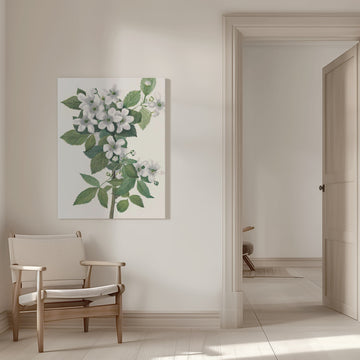 Highbush Blackberry From North American Wildflowers (1925) By Mary Vaux Walcott. | Canvas - Room Interior 1