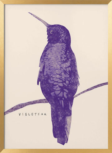 Elegant Violet Hummingbird | Poster - Gold Frame Interior