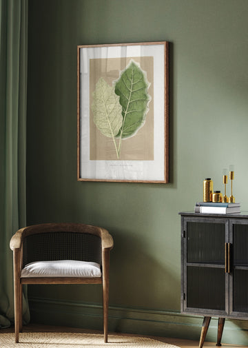 Green Solanum Marginatum Leaf Illustration | Poster - Room Interior 2