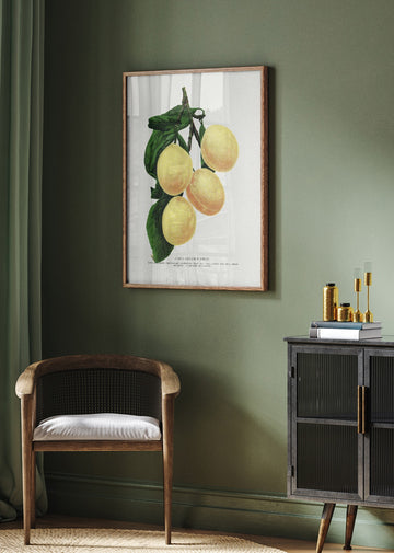 Coe's Golden Drop Plum Lithograph | Poster - Room Interior 2