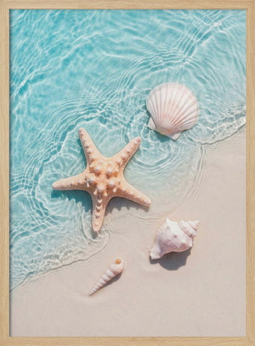 Starfish Seashells Shoreline | Poster - Wood Frame Interior