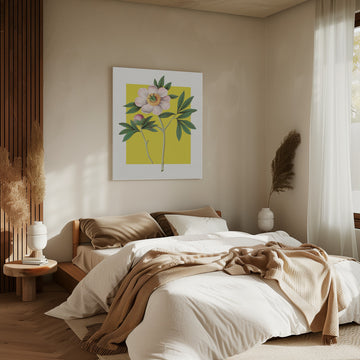 Pink Peony Botanical Illustration | Canvas - Room Interior 2