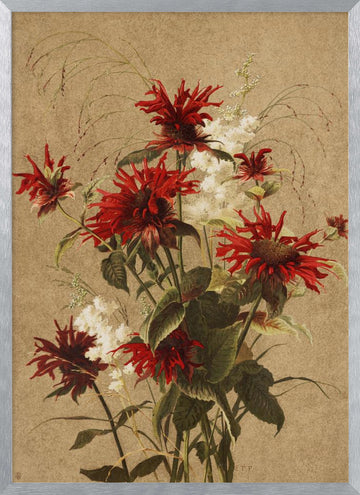 Balm and Spiraea By Ellen Thayer Fisher | Poster - Silver Frame Interior