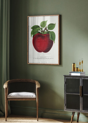 Mcintosh Red Apple Lithograph | Poster - Room Interior 2