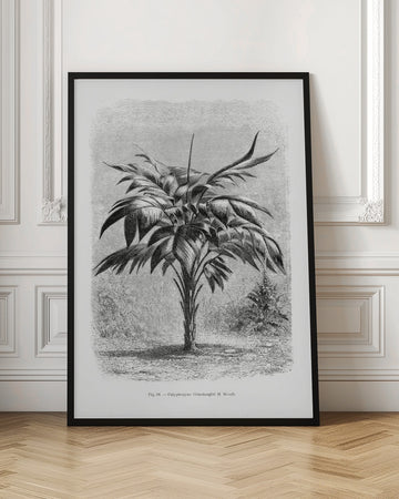 Vintage Palm Tree Drawing Viii | Poster - Room Interior 1