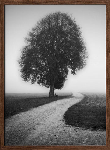 Foggy Path Lone Tree | Poster - Walnut Frame Interior