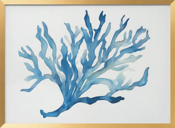 Blue Coral | Poster - Gold Frame Interior