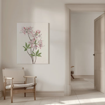 Pinkshell Azalea From North American Wildflowers (1925) By Mary Vaux Walcott | Canvas - Room Interior 1