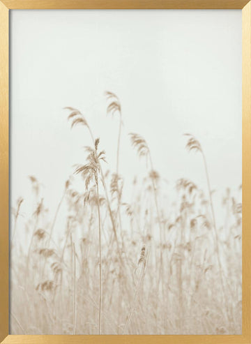 Soft Swaying Reeds | Poster - Gold Frame Interior