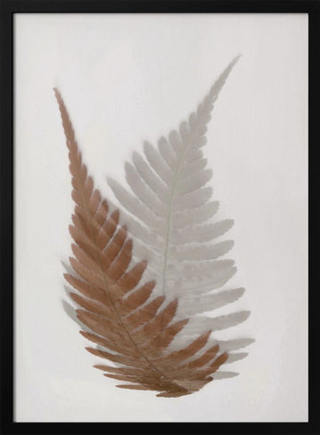 Ethereal Fern Fronds | Poster - Black Metal Frame Interior