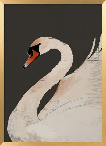 Graceful White Swan | Poster - Gold Frame Interior
