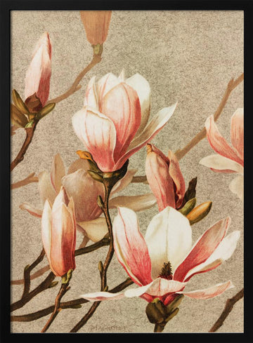 Magnolia | Poster - Black Metal Frame Interior