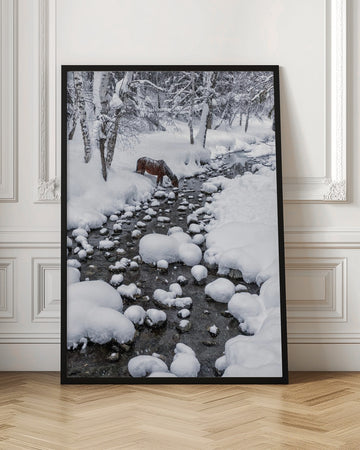 Snowy Forest Horse | Poster - Room Interior 1