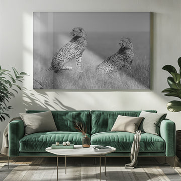 African Cheetahs Watching | Poster - Room Interior 1