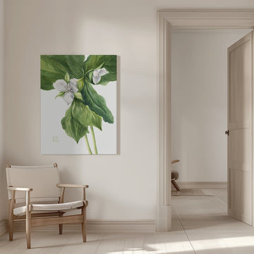Wake Robin (1939) | Canvas - Room Interior 1