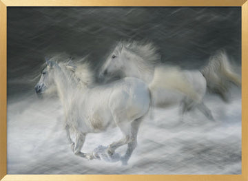 Dreamy White Horses | Poster - Gold Frame Interior