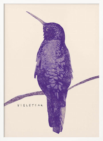 Elegant Violet Hummingbird | Poster - White Frame Interior