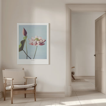  Lotus Flowers | Canvas - Room Interior 1