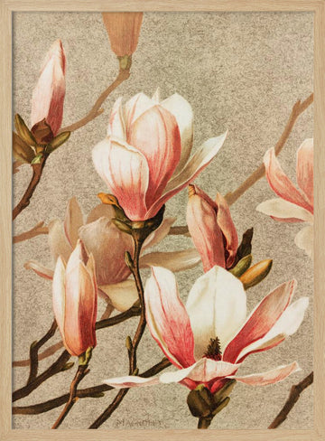 Magnolia | Poster - Wood Frame Interior