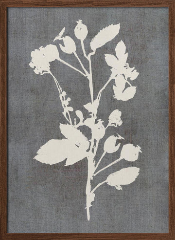 Botanical Rose Silhouette | Poster - Walnut Frame Interior