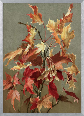 Autumn Leaves, No. 2 (maple) By Ellen Thayer Fisher | Poster - Silver Frame Interior