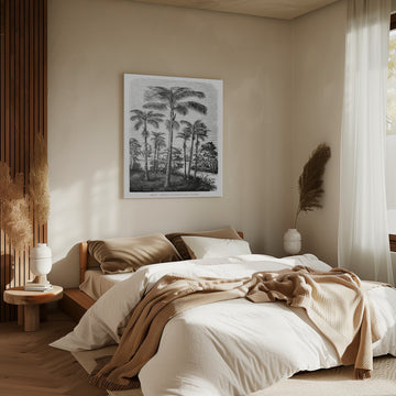 Vintage Palm Tree Drawing Ii | Canvas - Room Interior 2