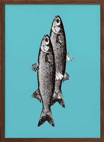 Vintage Fish Duo | Poster - Walnut Frame Interior