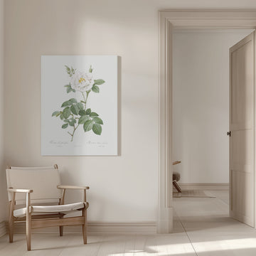 Rosa Alba Flore Pleno, Les Roses (1817–1824) | Canvas - Room Interior 1