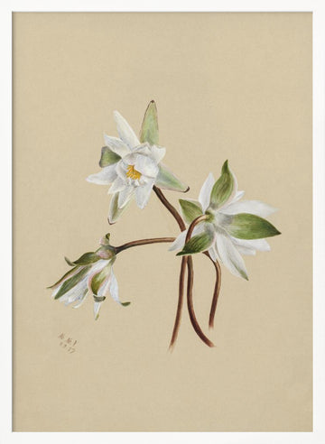 Water Lilies (1879) | Poster - White Frame Interior