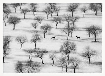 Winter Horses in Snow | Poster - White Frame Interior