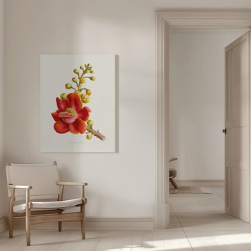 Vibrant Cannonball Flower | Canvas - Room Interior 1
