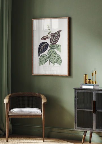 Green Bignonia Argyro Violascens Leaf Illustration | Poster - Room Interior 2