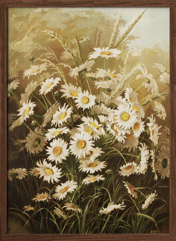Daisies By Ellen Thayer Fisher | Poster - Walnut Frame Interior