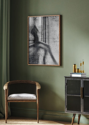 Shadow Dancer | Poster - Room Interior 2