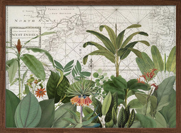 Tropical Map Explorations | Poster - Walnut Frame Interior